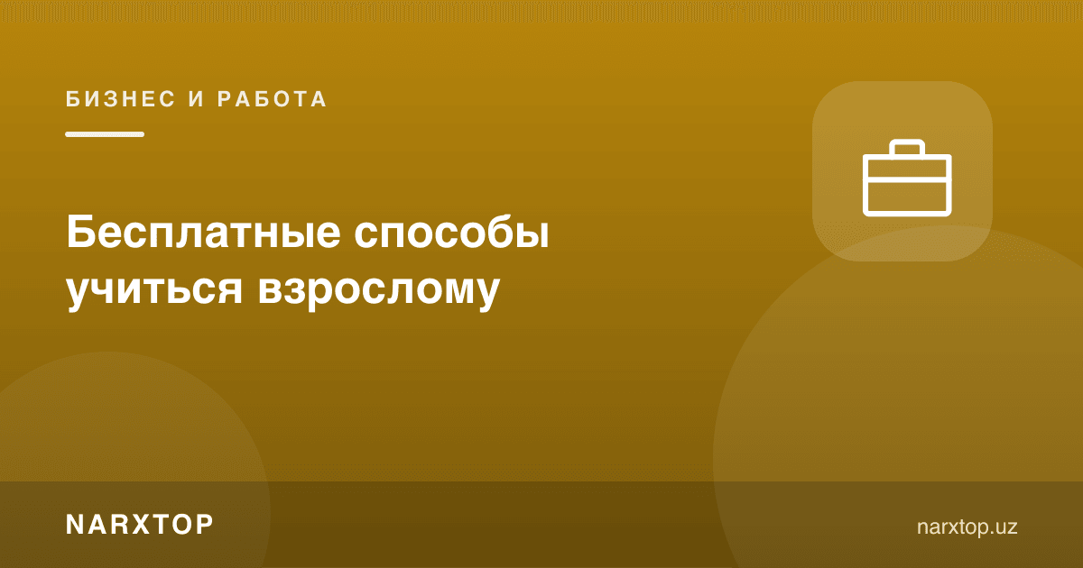 Катталар учун бепул ўрганиш йўллари