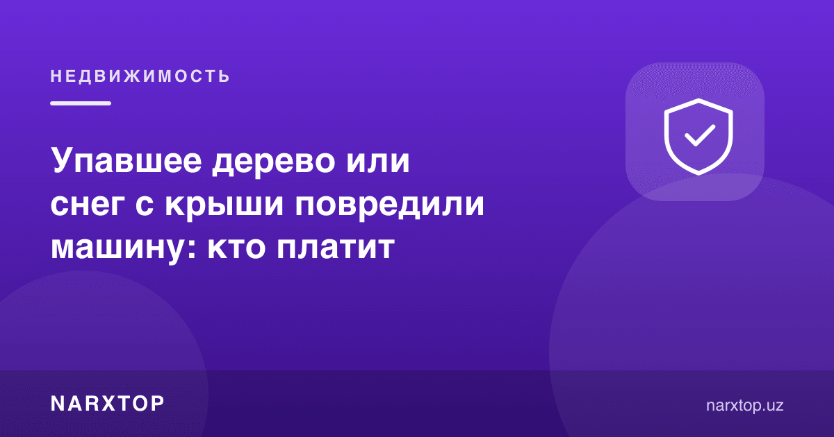 Йиқилган дарахт ёки томдан тушган қор машинани шикастлади: ким тўлайди