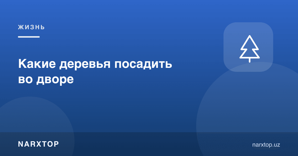 Ҳовлига қандай дарахт экиш керак