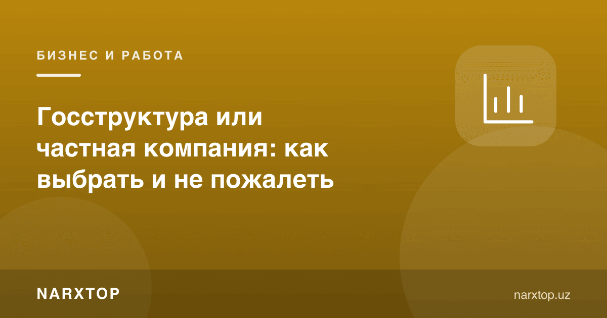 Давлат ташкилоти ёки хусусий компания: қандай танлаш ва афсусланмаслик