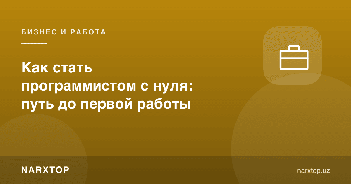 Нолдан дастурчи бўлиш: биринчи ишгача бўлган йўл
