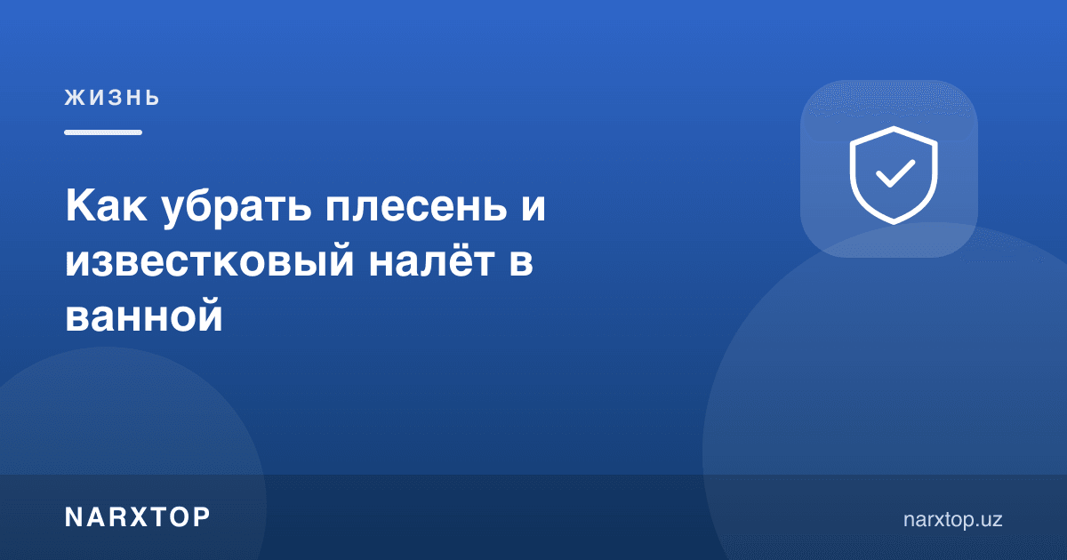 Ҳаммомда моғор ва оҳак доғини қандай тозалаш керак