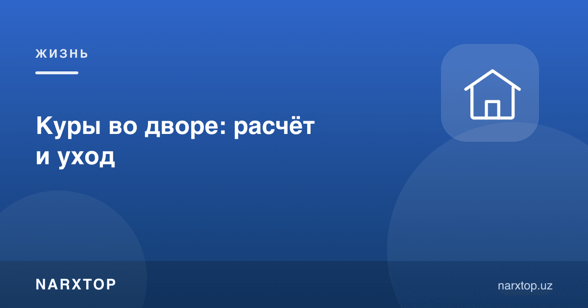 Ҳовлида товуқ боқиш: ҳисоб-китоб ва парвариш