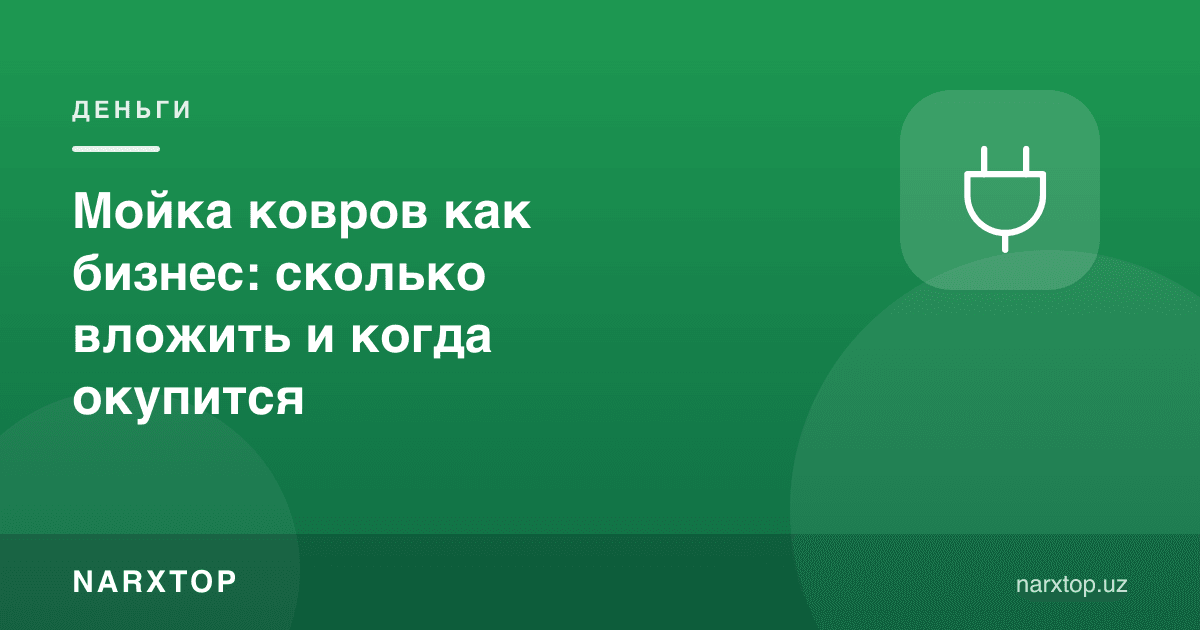 Мойка ковров как бизнес: сколько вложить и когда окупится