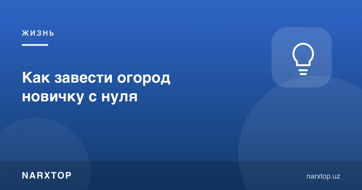 Янги бошловчи ҳовлида экинзорни қандай бошлаш керак