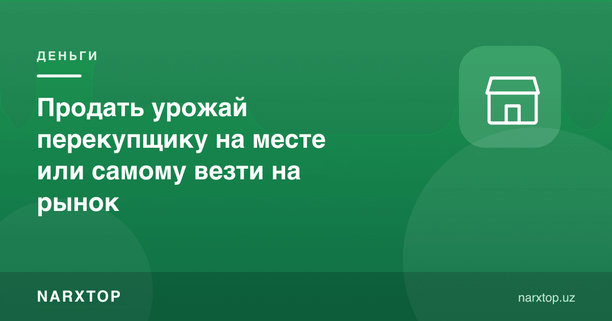Ҳосилни жойида даллолга сотиш ёки ўзи бозорга олиб бориш