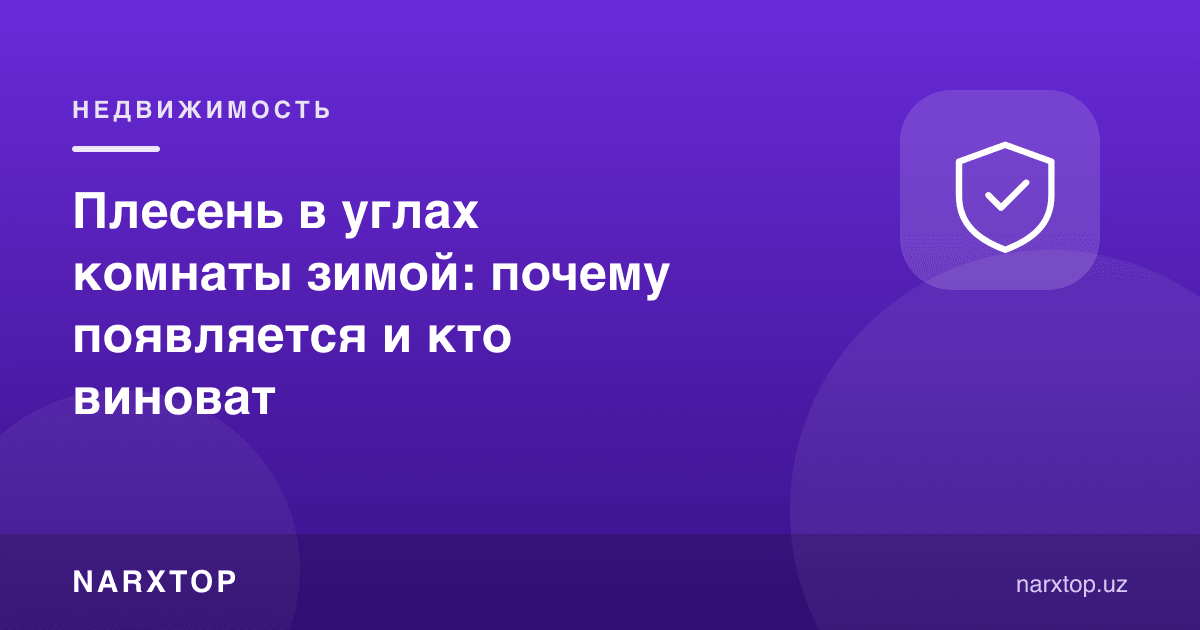 Қишда хона бурчагида моғор: нега пайдо бўлади ва ким айбдор