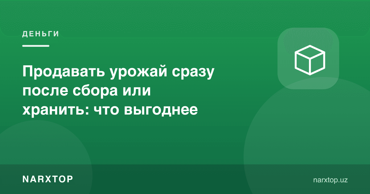 Ҳосилни йиғиб олгач дарров сотиш ёки сақлаш: қайси бири фойдали