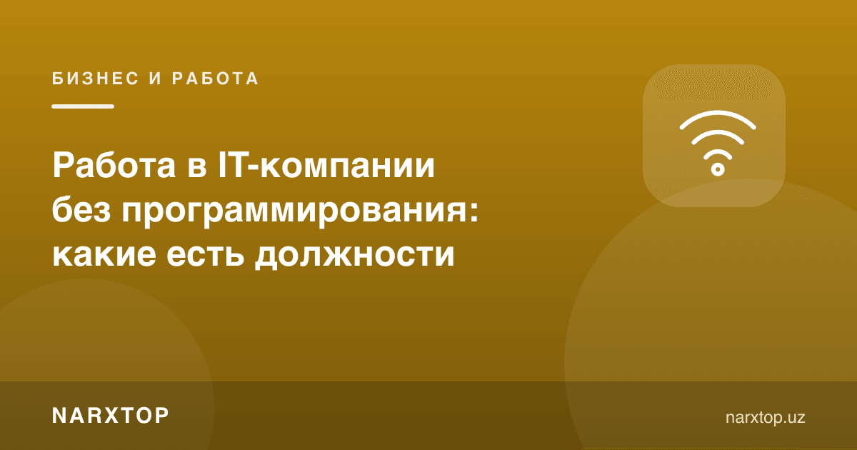 Дастурлашсиз ИТ-компанияда ишлаш: қандай лавозимлар бор