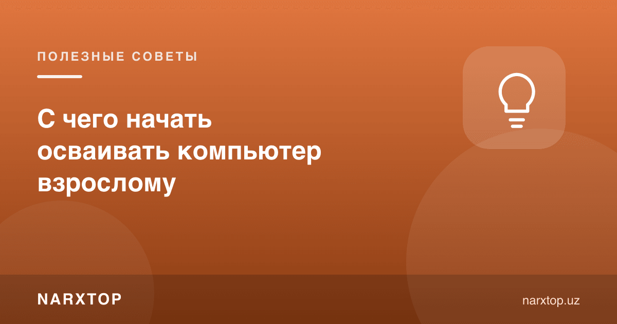 Катталар компютер ўрганишни нимадан бошлаши керак