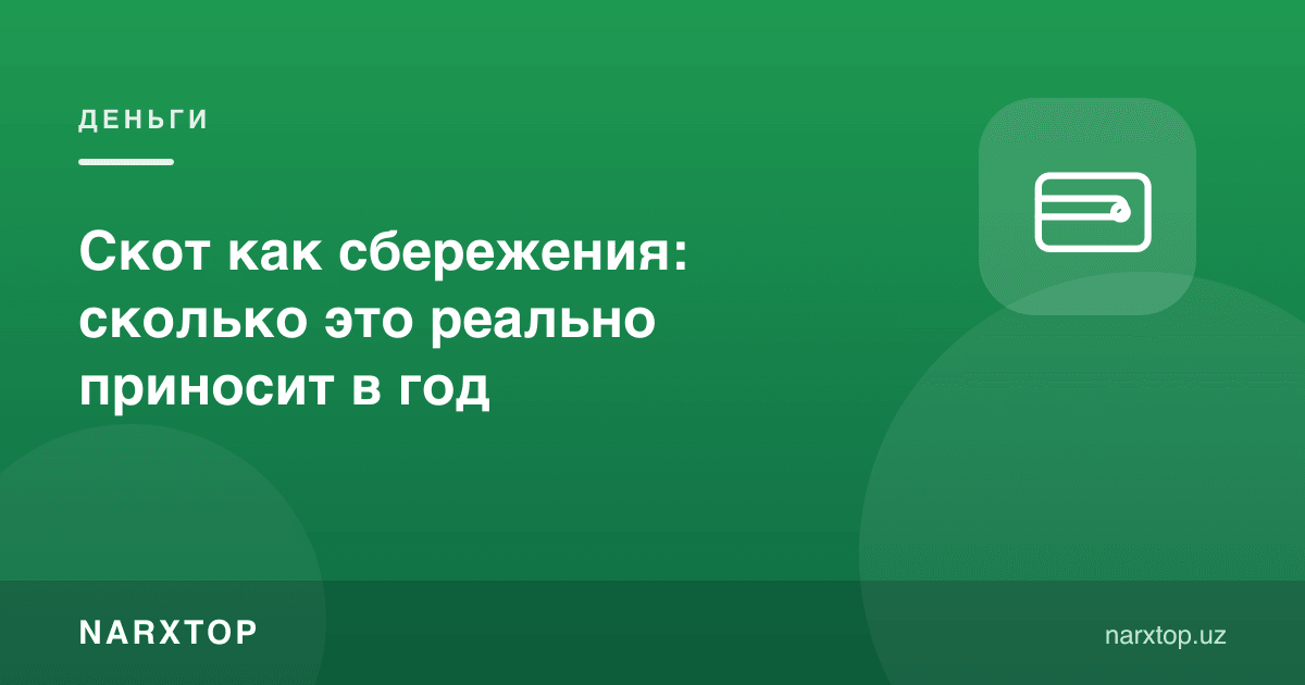 Чорва жамғарма сифатида: йилига қанча даромад беради