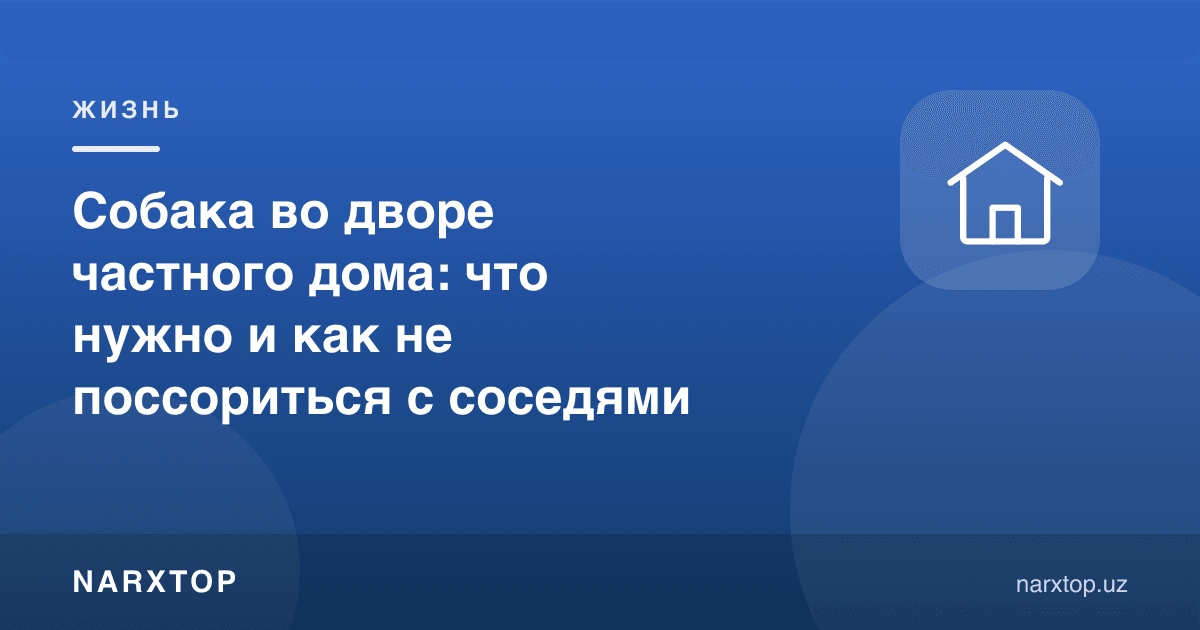Ҳовлили уйда ит: нима керак ва қўшнилар билан қандай жанжаллашмаслик
