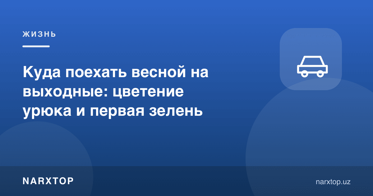 Баҳорда дам олиш кунлари қаерга бориш мумкин: ўрик гули ва яшил баҳор