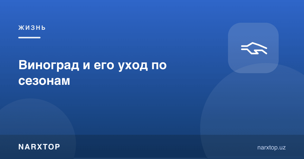 Ток ва унга фасллар бўйича парвариш