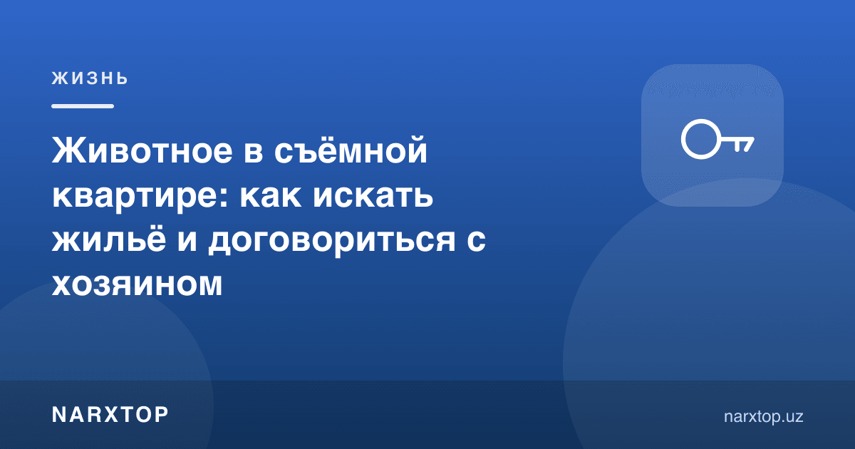 Ижара квартирасида ҳайвон: уйни қандай излаш ва уй эгаси билан келишиш