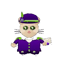 cat